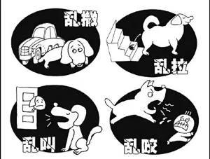 微信图片_20190828110138.jpg